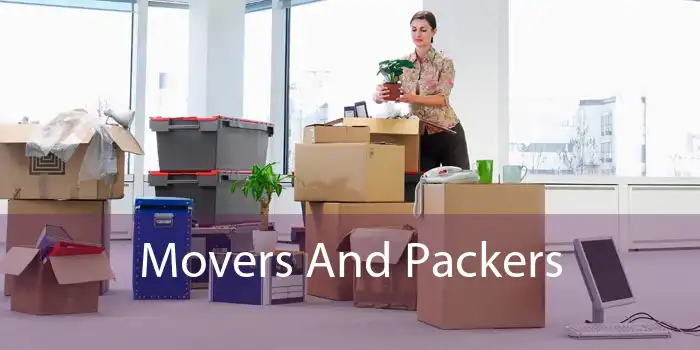 Movers And Packers 