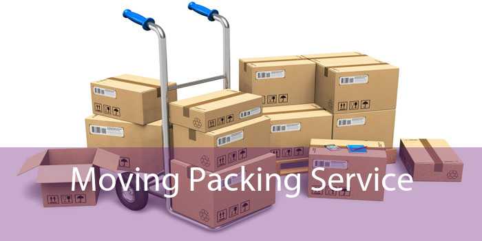 Moving Packing Service 