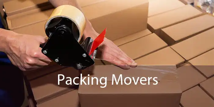 Packing Movers 