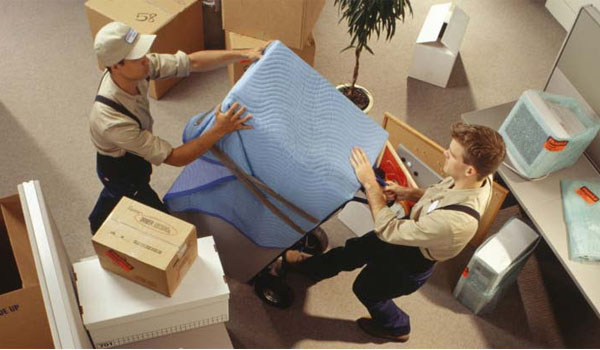 local office shifting in JLT Dubai